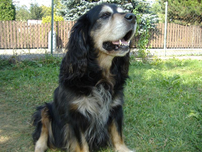 Foto: Max-L�to 2006