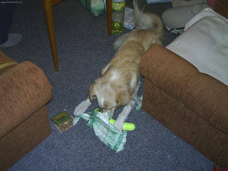 Foto: Tak co mi to ten Je��ek letos nalo�il?