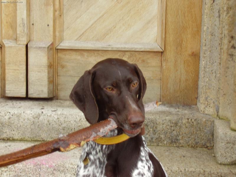 Foto: ! Klacek nikdy nepust�m !