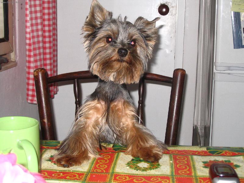 Foto: Kubik-dejte mi naj�st!!