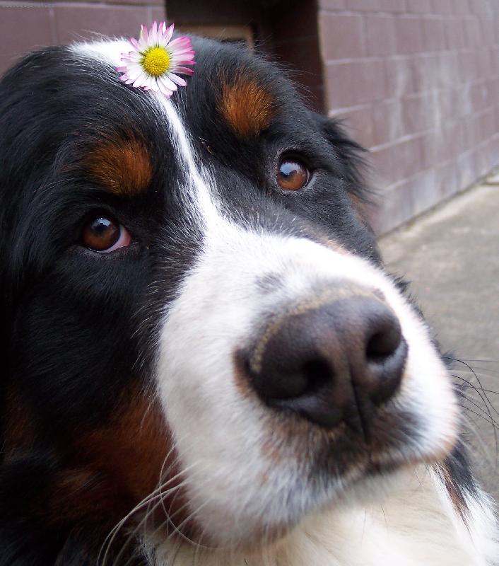 Foto: jen pro ty jeho o�i.........