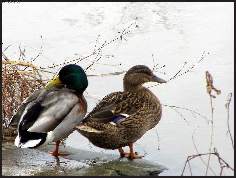 Foto: Nemluv�m s tebou