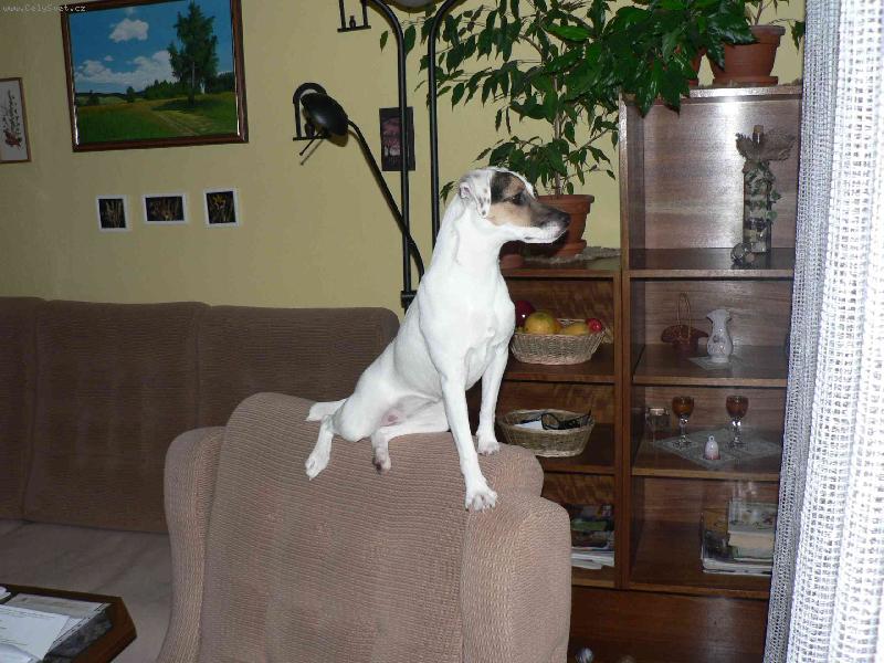 Foto: FATTY HOP TROP-Copak se to venku zase d�je...