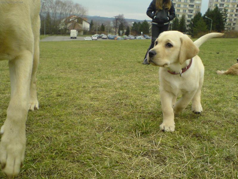 Foto: mal� k�mo�-B�ro po�kej chci si hr�t!