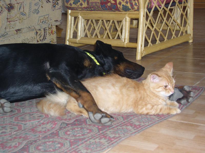 Foto: A to jsem si myslela, �e kdy� m� ko�ku, tak nebude chr�pat