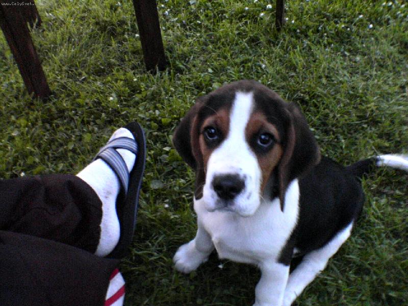 Foto: Lucky-sed�m u p�n��ka