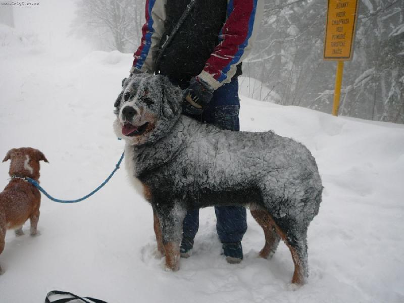 Foto: Kone�n� zima-copak je to z hafana??:-)