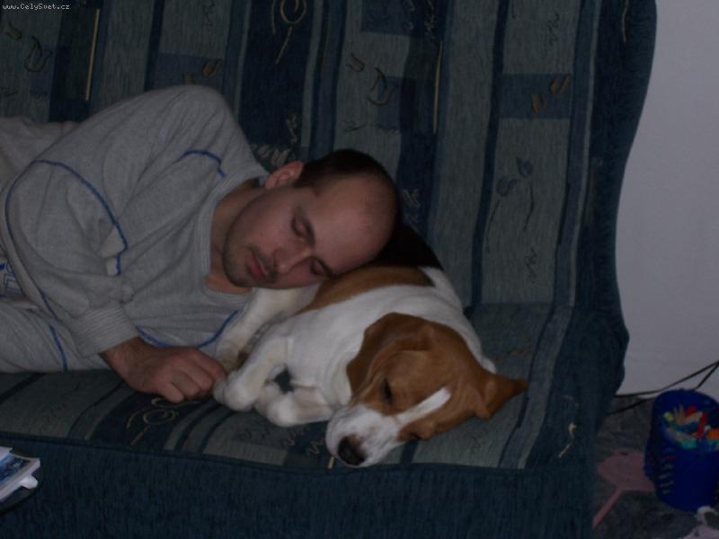 Foto: nen� nad �iv� pol�t��