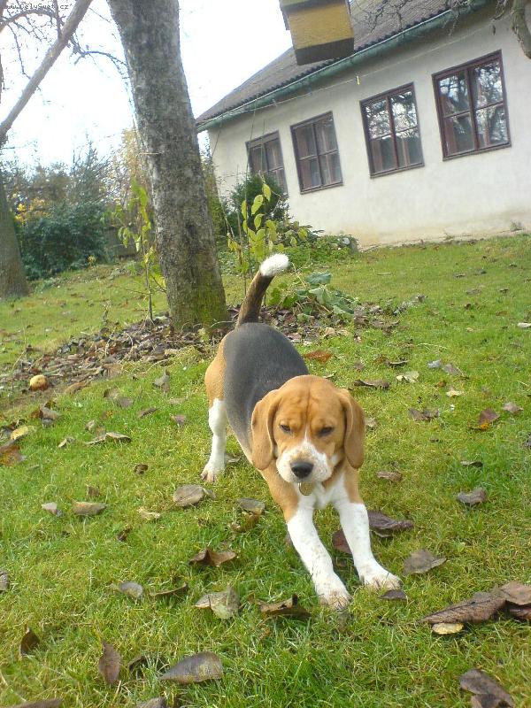 Foto: Eda-nen� nad po��dn� prota�en� po r�nu