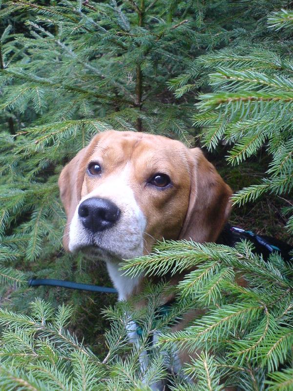 Foto: Eda-teda ani tady nem�m na ten bobek klid