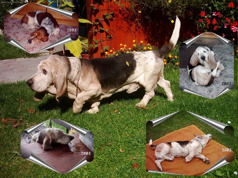 Foto: Danou�:)-mix�k:)