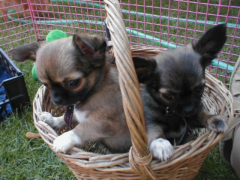 Foto: TO JE �LOVEK-�IVAV� BRAT�I