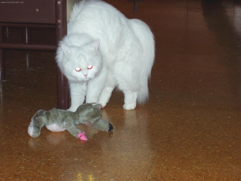 Foto: J� se neboj�m?!-Eli�ka v akci