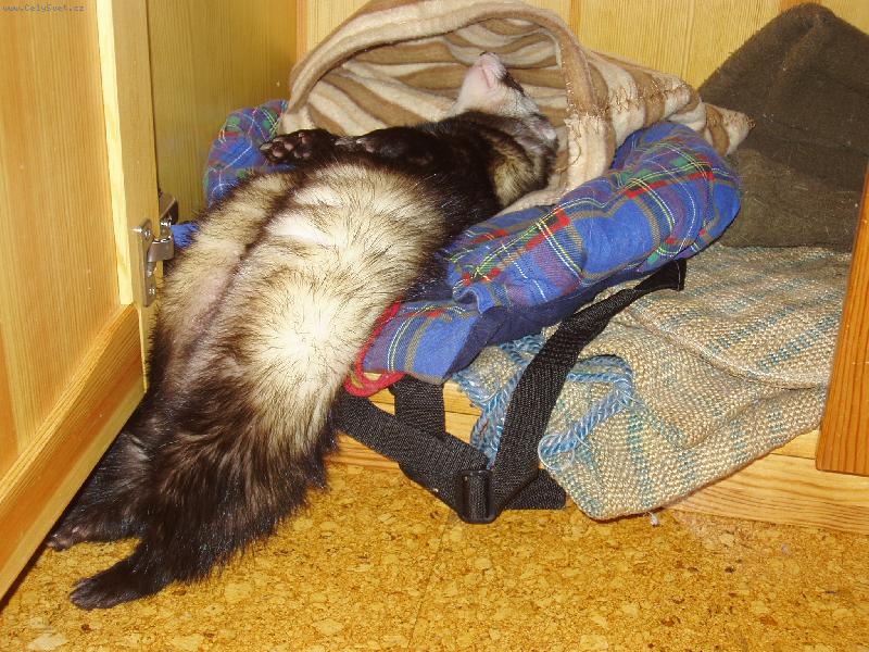 Foto: Sp�c� Dav�dek-A co tahle poloha?