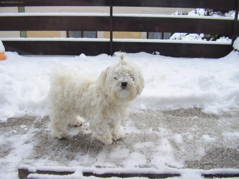 Foto: Vikinka-pomocte mi nevid�m a n�co m� t�hne k zemi