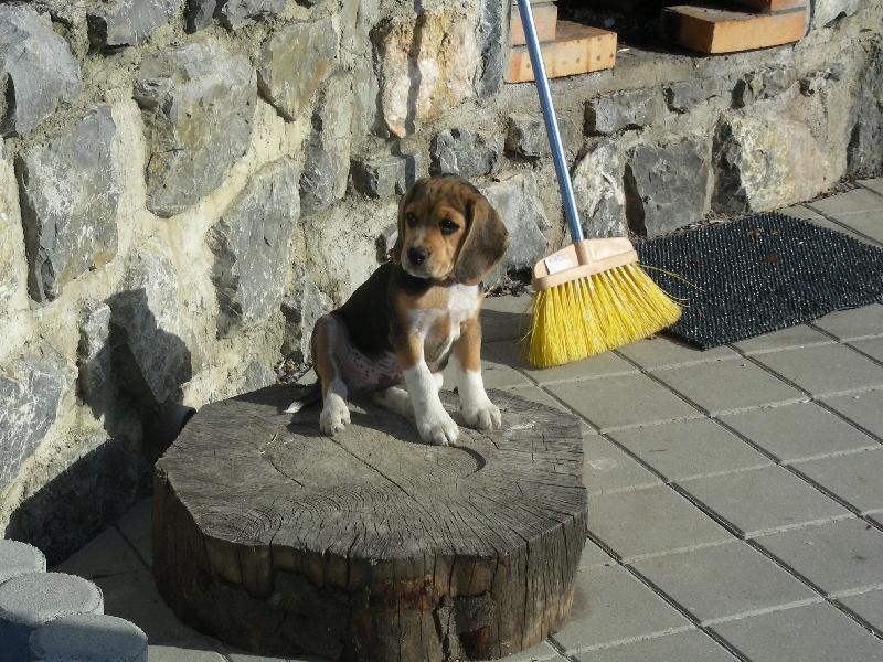 Foto: Uf to zamet�n� je ale fu�ka...