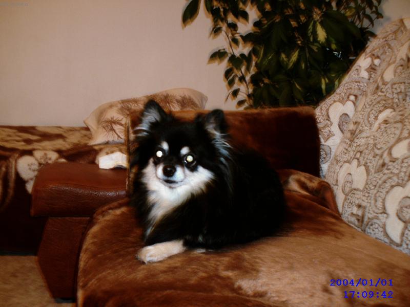 Foto: N�  pohod��-Toto je n� v�rn� p��tel