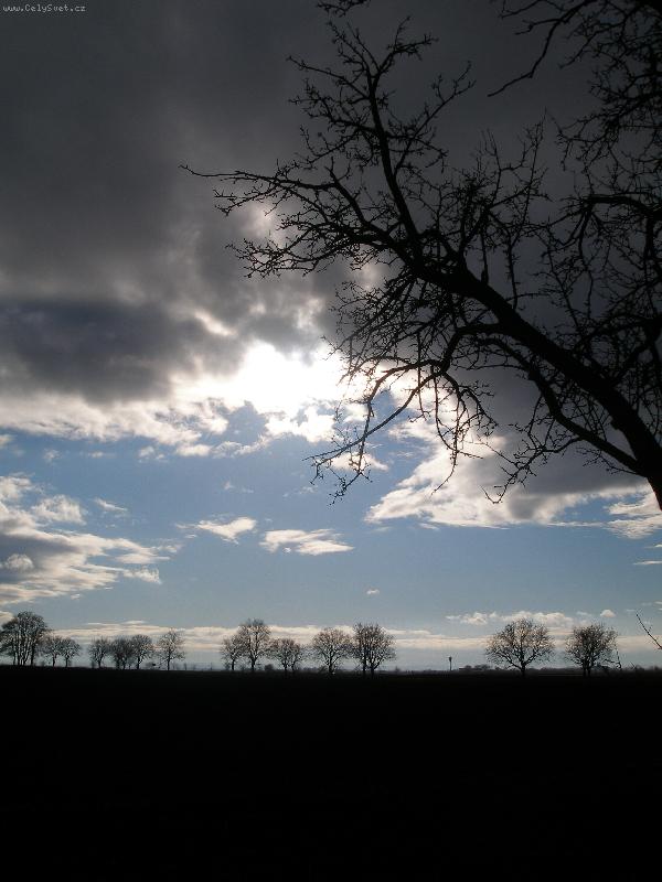 Foto: Chv�le p�ed bou��-na tuhle fotku jsem �ekala 1 m�s�c