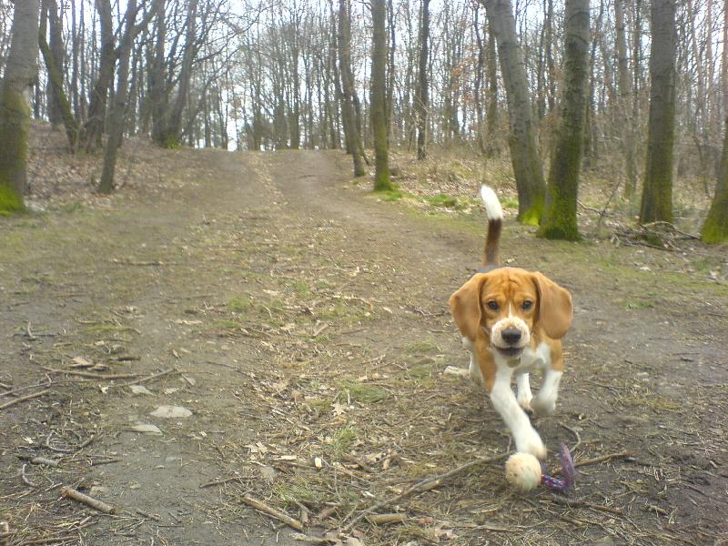 Foto: Eda-po�kej a� t� chytim