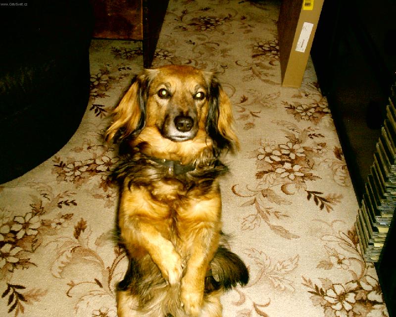 Foto: Charlie-To je moje poloha ve�er p�ed televiz� pani�ky.