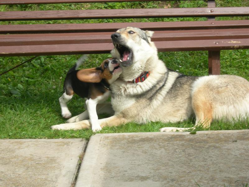 Foto: Bony verzus Obi-Jup� J� \.\.\.\. j� vyhr�v�m\. Uvid�, �e si na m� u� netrofne� - velik�ne\.