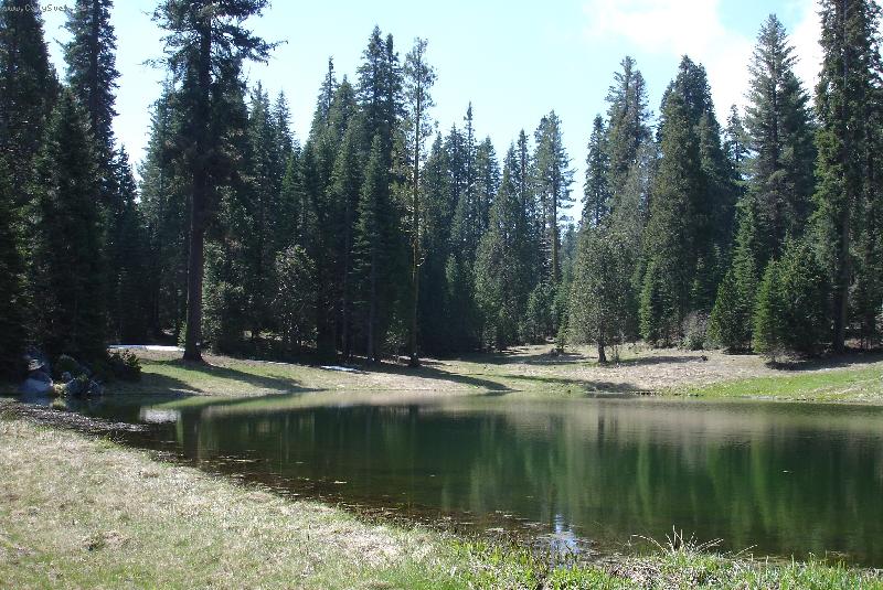 Foto: kr�sa a pohoda