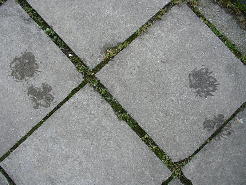 Foto: Benji-te� tu byl!!??!!