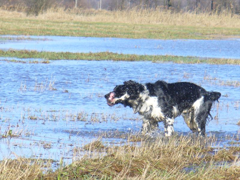 Foto: Benji-je�t� se oklepu a p�jdu