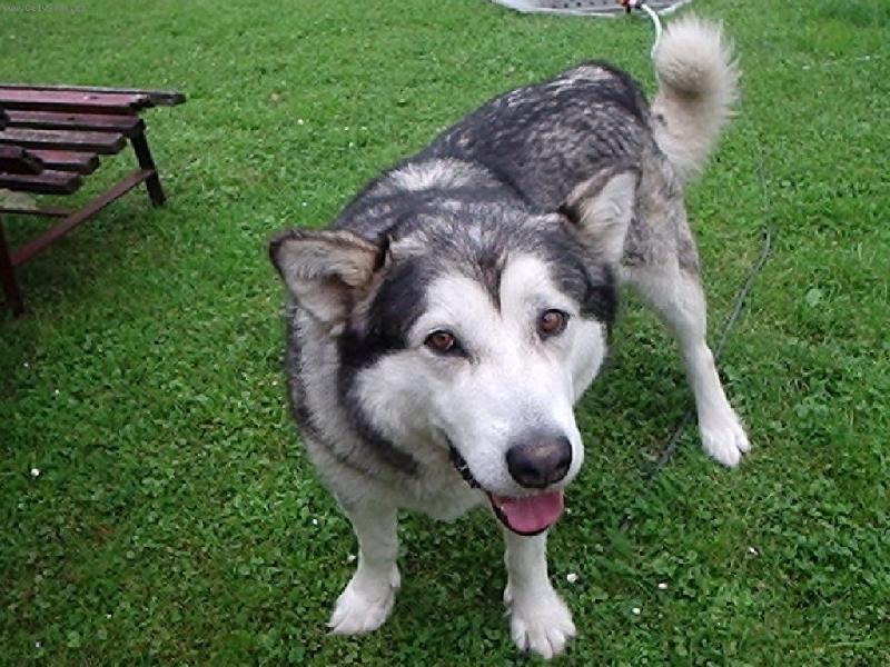 Foto: Budeme si hr�t?-Barunka, na�e slun��ko