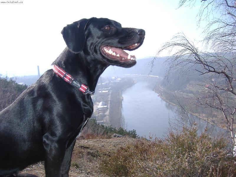 Foto: Sene�ka-na sk�le se n�m poda�ilo vyfotit