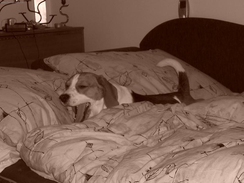 Foto: ����� to je n�maha to protahov�n�