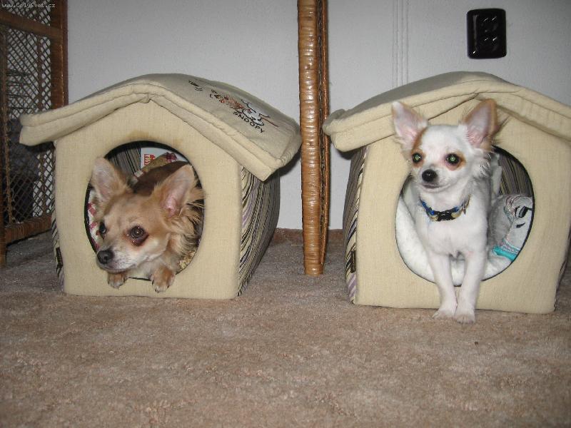 Foto: Laudy a Mat�sek-J��� kluci doma je doma...