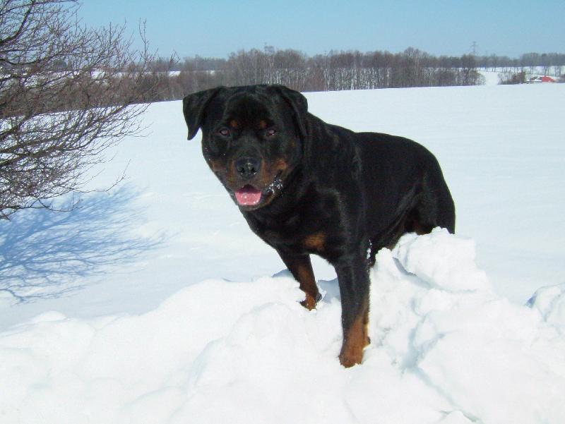 Foto: Horolezec-N� Ralf�k v zim�