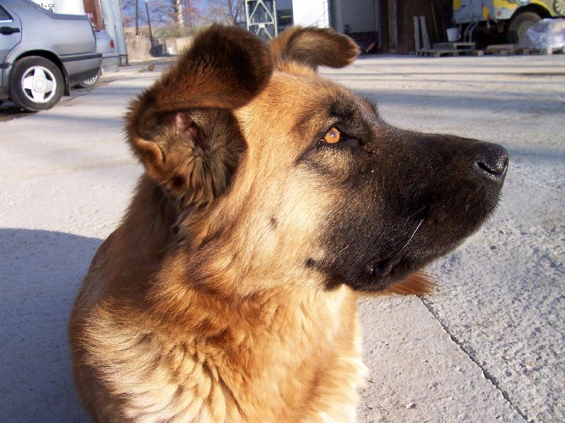 Foto: D�ma Betty-bettynka