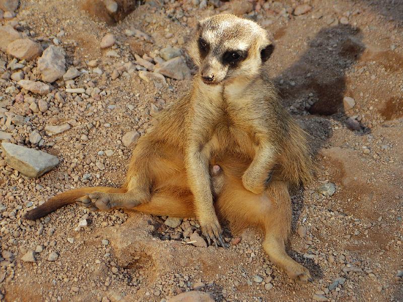 Foto: to zas bude...