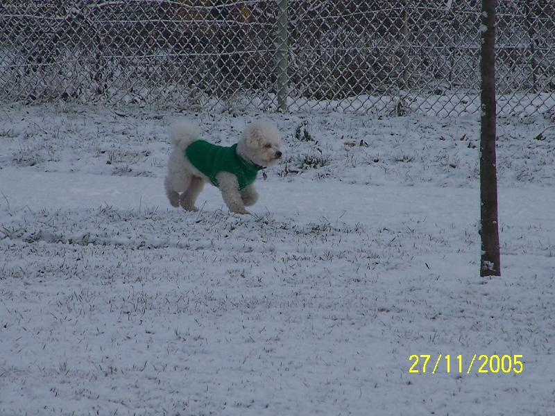 Foto: NA PROCH�ZCE-Je trochu zima