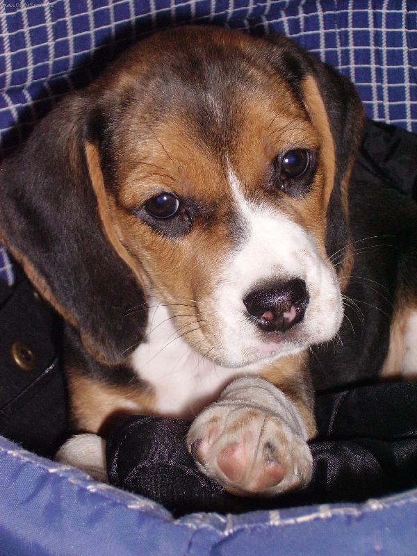 Foto: Jessy-2 m�s�ce