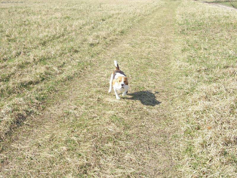 Foto: Nov� st�ha�ka.-Benji by str�il do kapsy v�echny gripeny a migy.