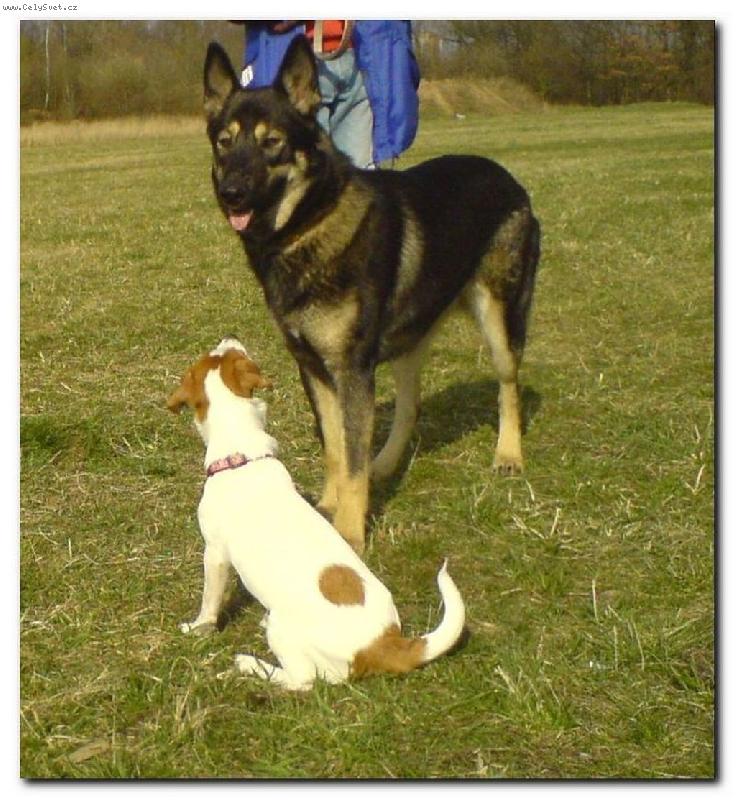 Foto: Jessynka a Rita-No tak poj� si hr�t!=)