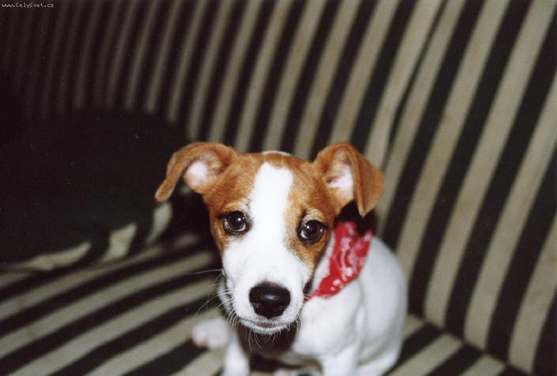 Foto: Jessynko!-To je jen fo��k,toho se b�t nemus� =)