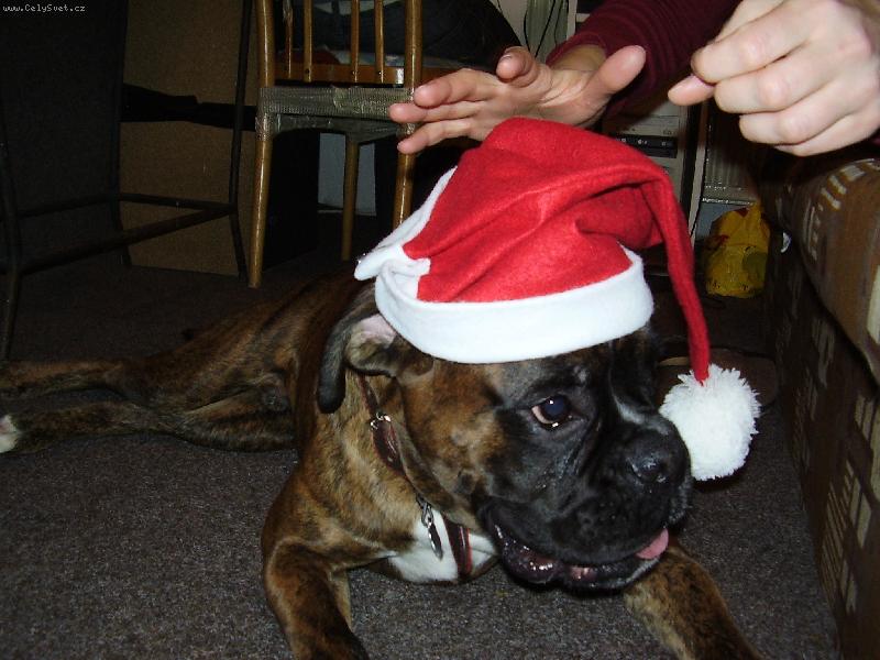 Foto: Stastne a Vesele-Santa Claus :) ...