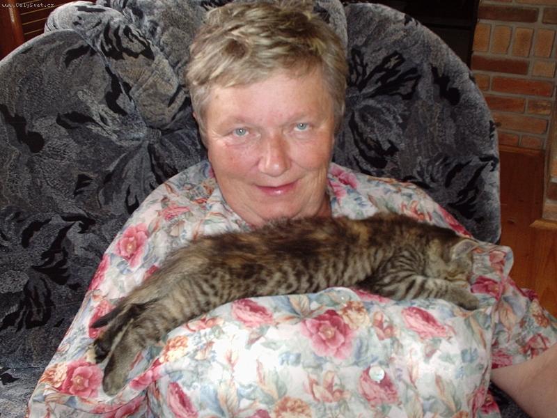 Foto: VEGET-CHlapi z�vid�te???