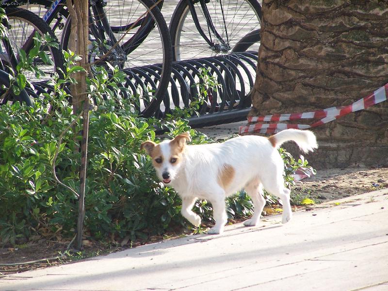 Foto: KRASAVEC-Jsem ital, to jste nepoznali?