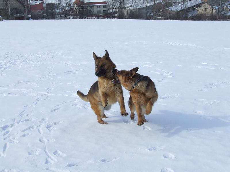 Foto: Nah��a�ka-foten� v zime 2005