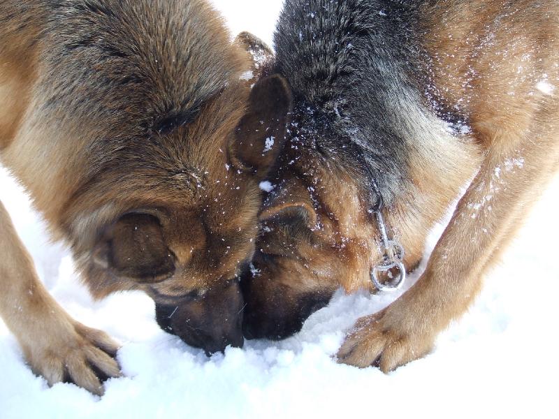 Foto: V��a-zima 2006