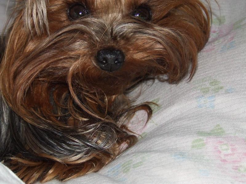 Foto: �ooooooooo?-zima 2006