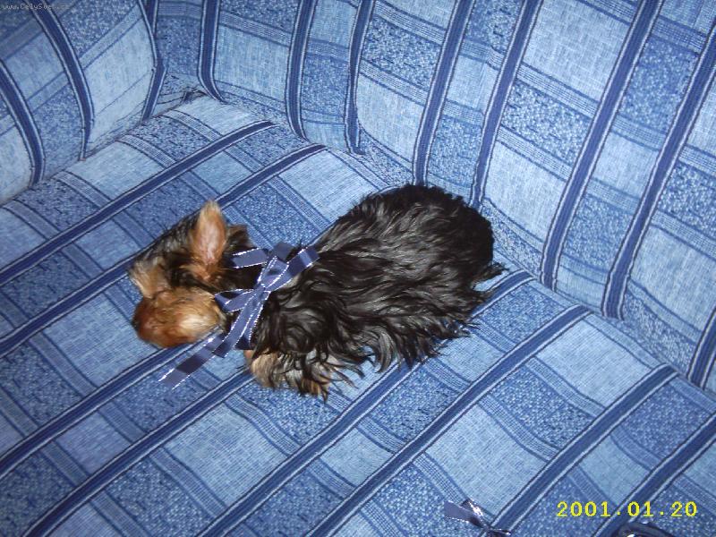 Foto: Nejlep�� v�no�n� d�rek-No nen� rozko�n�...?