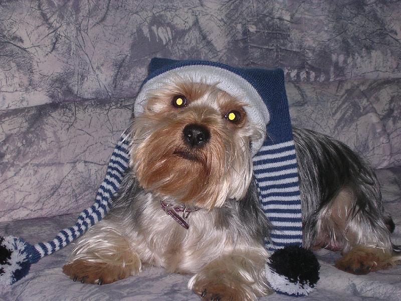 Foto: Muj mazlicek-A muze zacit zima