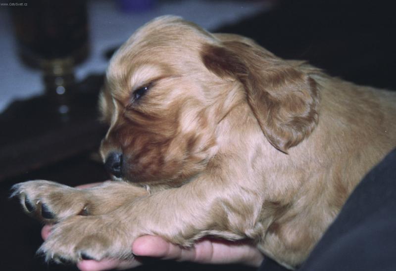 Foto: E�te chv��u chcem spinka�-na ruk�ch