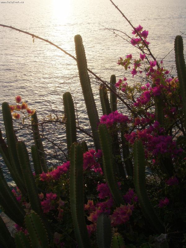 Foto: V z��i zapadaj�c�ho slunce